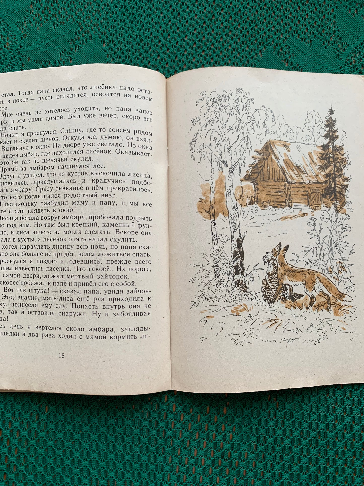 Vintage Russian Children's Book - THE VOICE OF FOREST - 1984