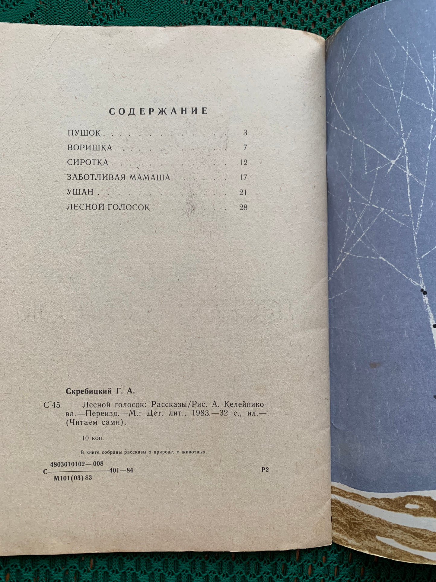 Vintage Russian Children's Book - THE VOICE OF FOREST - 1984