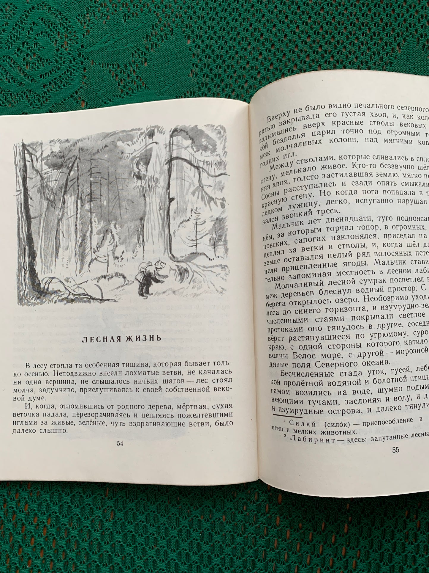 Vintage Russian Children's Book - A.S. SERAFIMOVICH - THREE FRIENDS - 1977