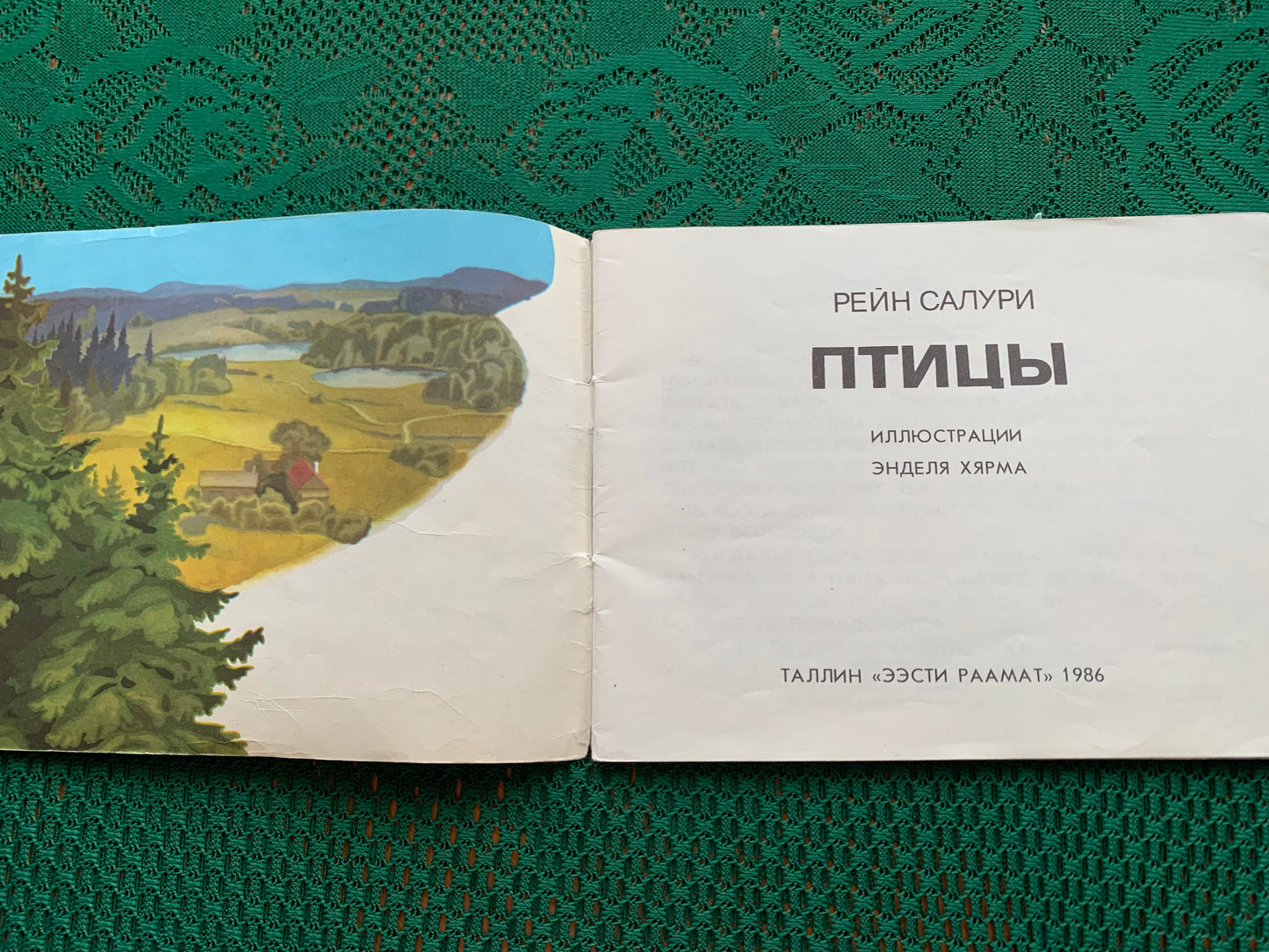 Vintage Estonian Children's Book in Russian - BIRDS - Rein Saluri - 1986