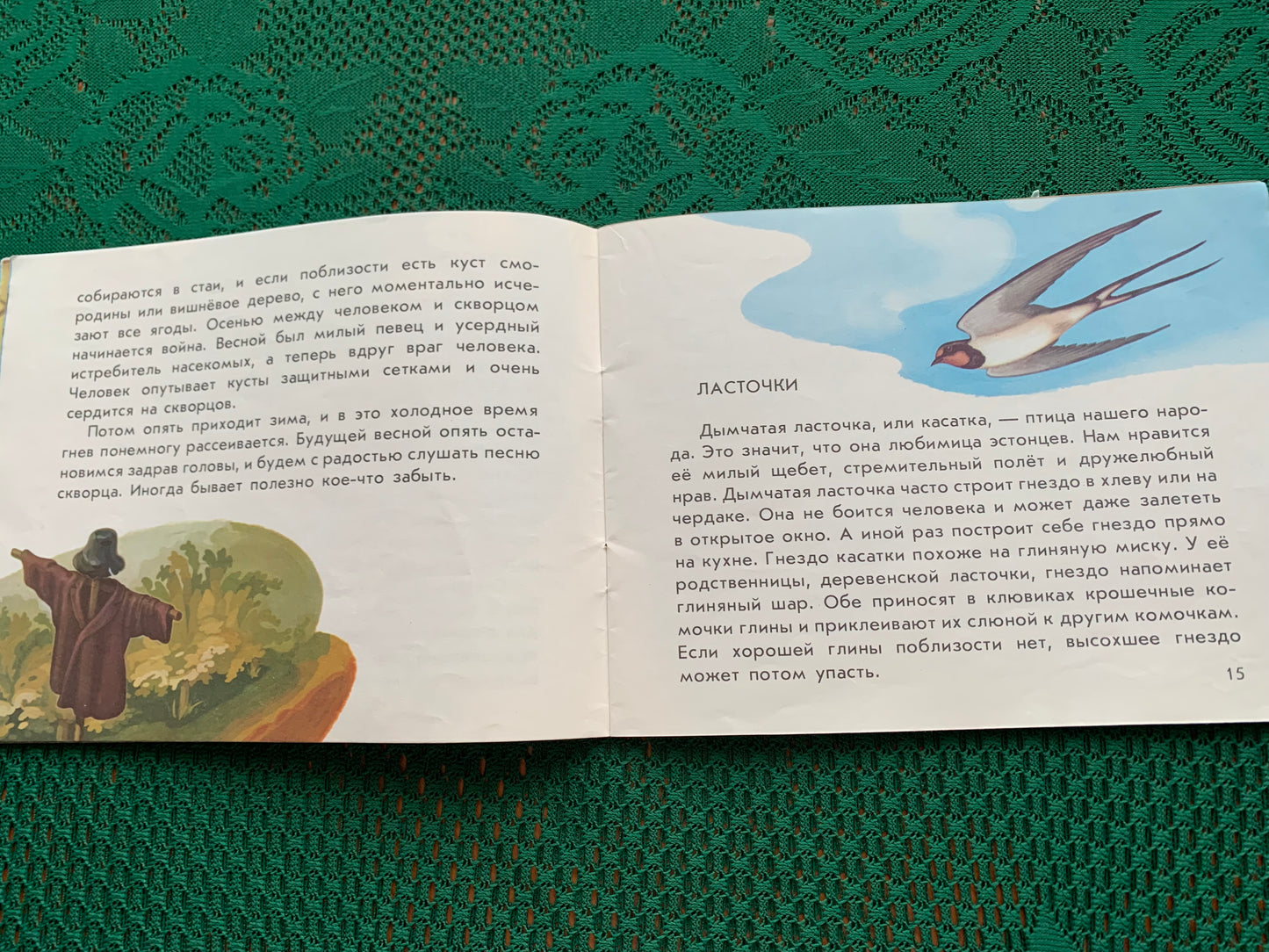 Vintage Estonian Children's Book in Russian - BIRDS - Rein Saluri - 1986