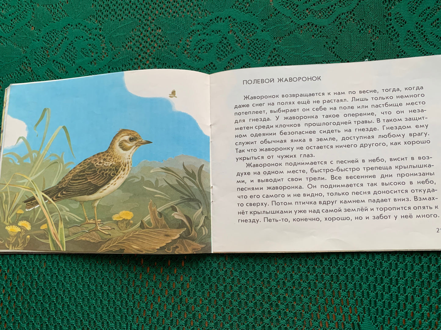 Vintage Estonian Children's Book in Russian - BIRDS - Rein Saluri - 1986