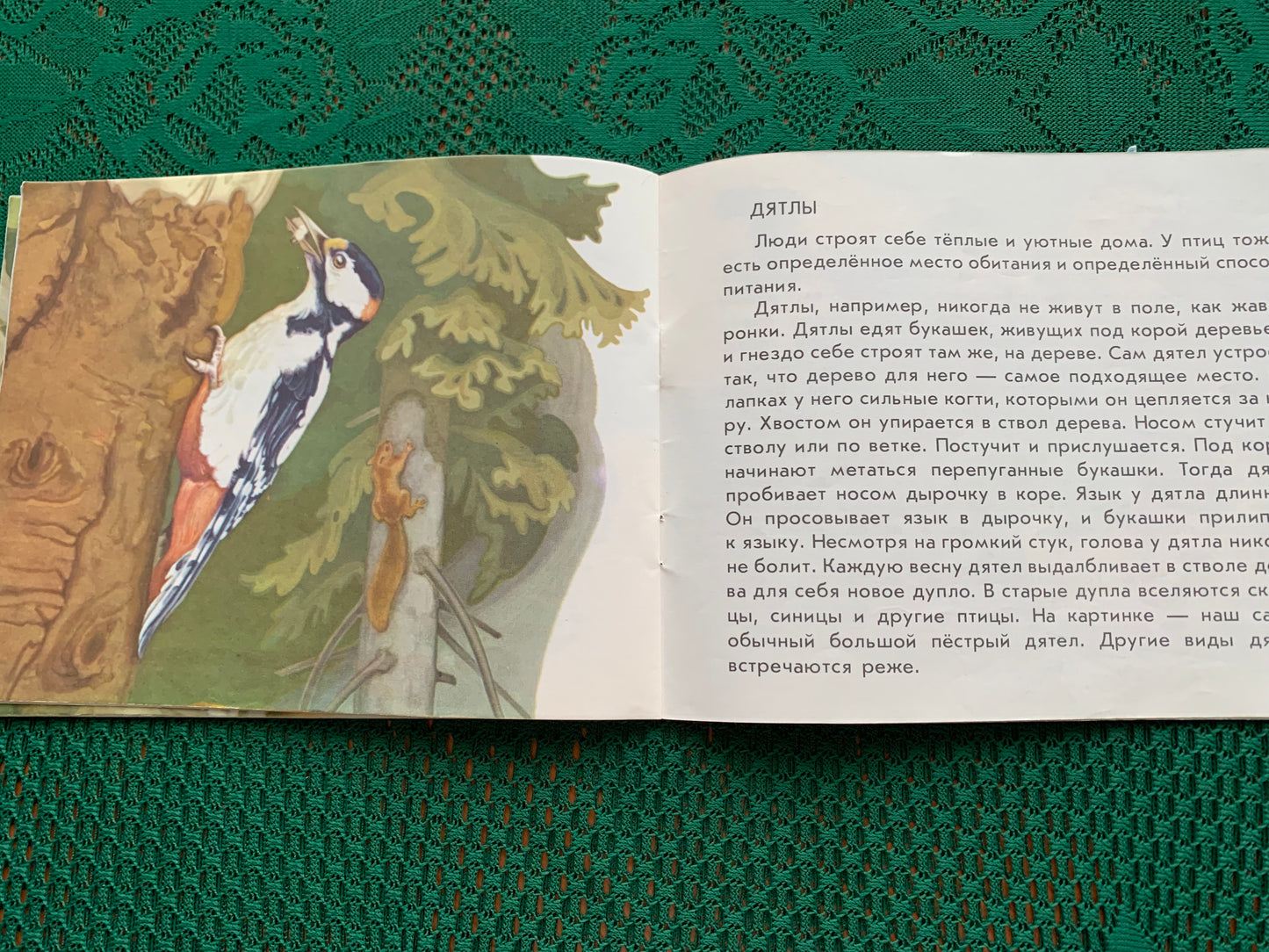 Vintage Estonian Children's Book in Russian - BIRDS - Rein Saluri - 1986