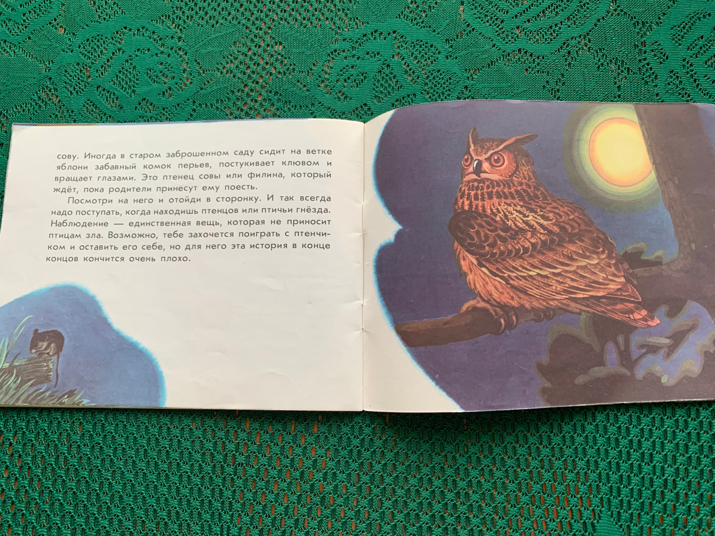 Vintage Estonian Children's Book in Russian - BIRDS - Rein Saluri - 1986