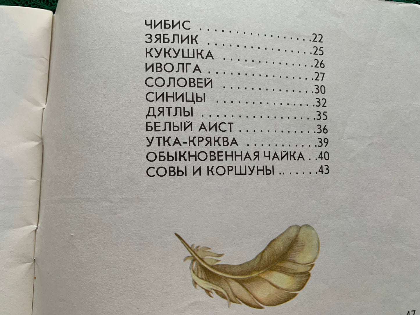 Vintage Estonian Children's Book in Russian - BIRDS - Rein Saluri - 1986