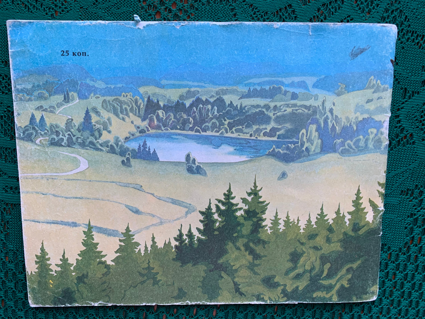 Vintage Estonian Children's Book in Russian - BIRDS - Rein Saluri - 1986