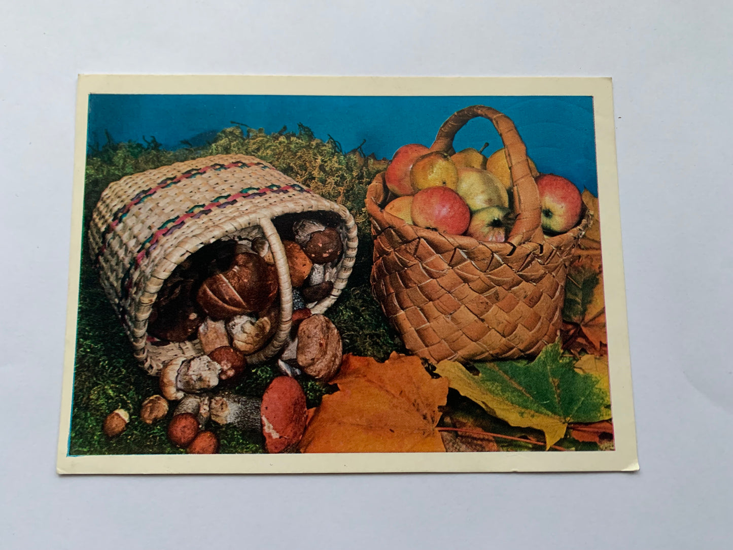 Russian postcard - Autumn postcard - Basket of Mushrooms and Apples - Printed in USSR - 1980 - unused