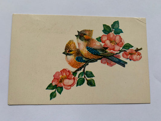 Russian art postcard - Greeting card - Artist Manilova - Printed in USSR - 1975 - unused