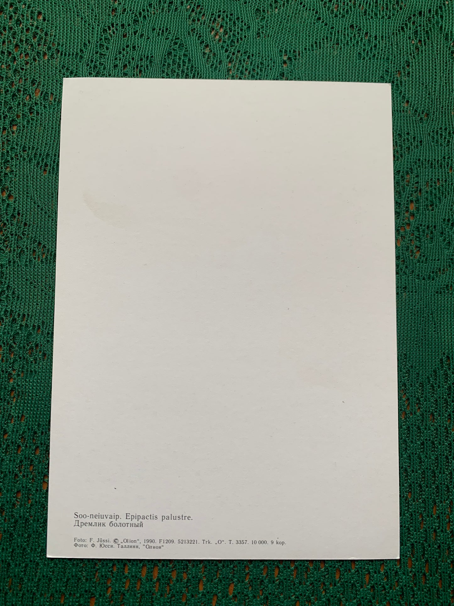 Estonian postcard - Flowers - Epipactis palustris - Marsh helleborine - Printed in USSR - 1990 - unused