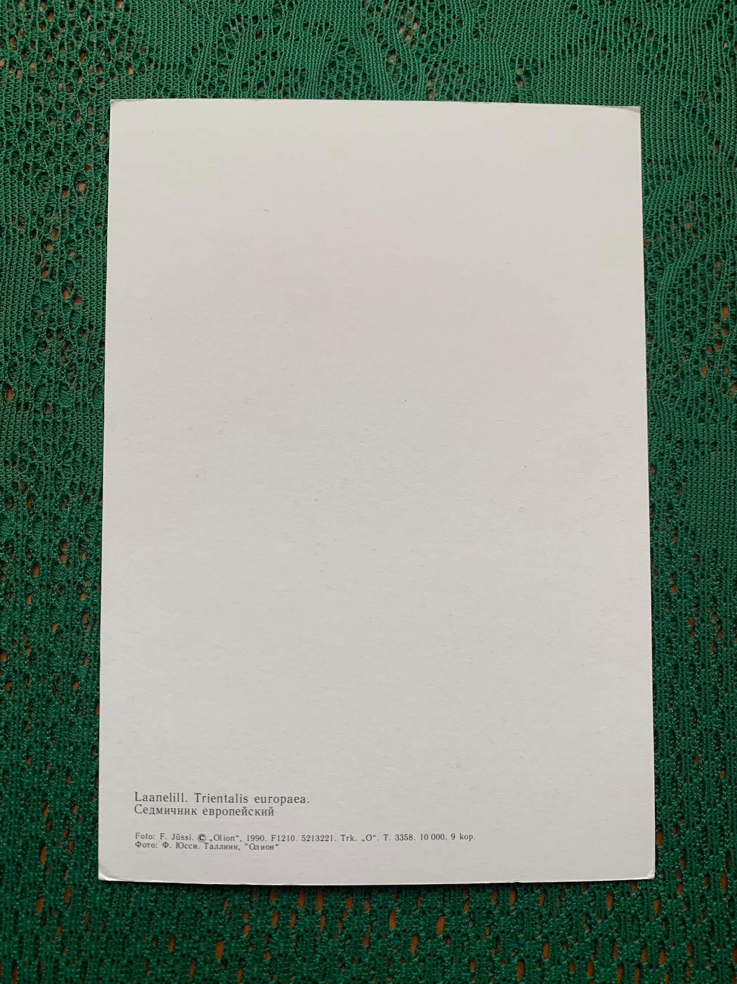 Estonian postcard - Flowers - Lysimachia europaea - Chickweed-wintergreen - Arctic starflower - Printed in USSR - 1990 - unused