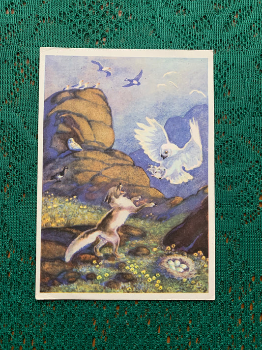 Fairy-tale postcard - Arctic fox and hawk - Printed in USSR - 1961 - unused