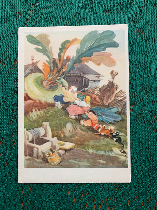 Fairy-tale postcard - Russian folk tale "TURNIP" - Printed in USSR - 1955 - used