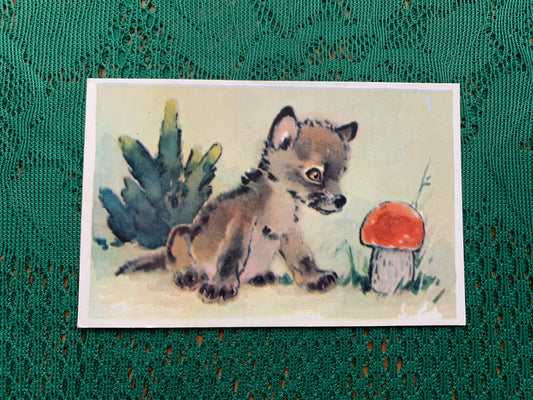 Russian art postcard - Artist L.Gamburger - Cute Wolfie and Red Mushroom - Animal postcard - Printed in USSR - 1970 - unused