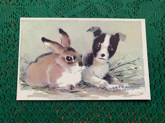 Russian art postcard - Artist L.Gamburger - Bunny and Puppy - Animal postcard - Printed in USSR - 1970 - unused