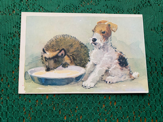 Russian art postcard - Artist L.Gamburger - Hedgehog drinking milk and Puppy watching - Animal postcard - Printed in USSR - 1970 - unused