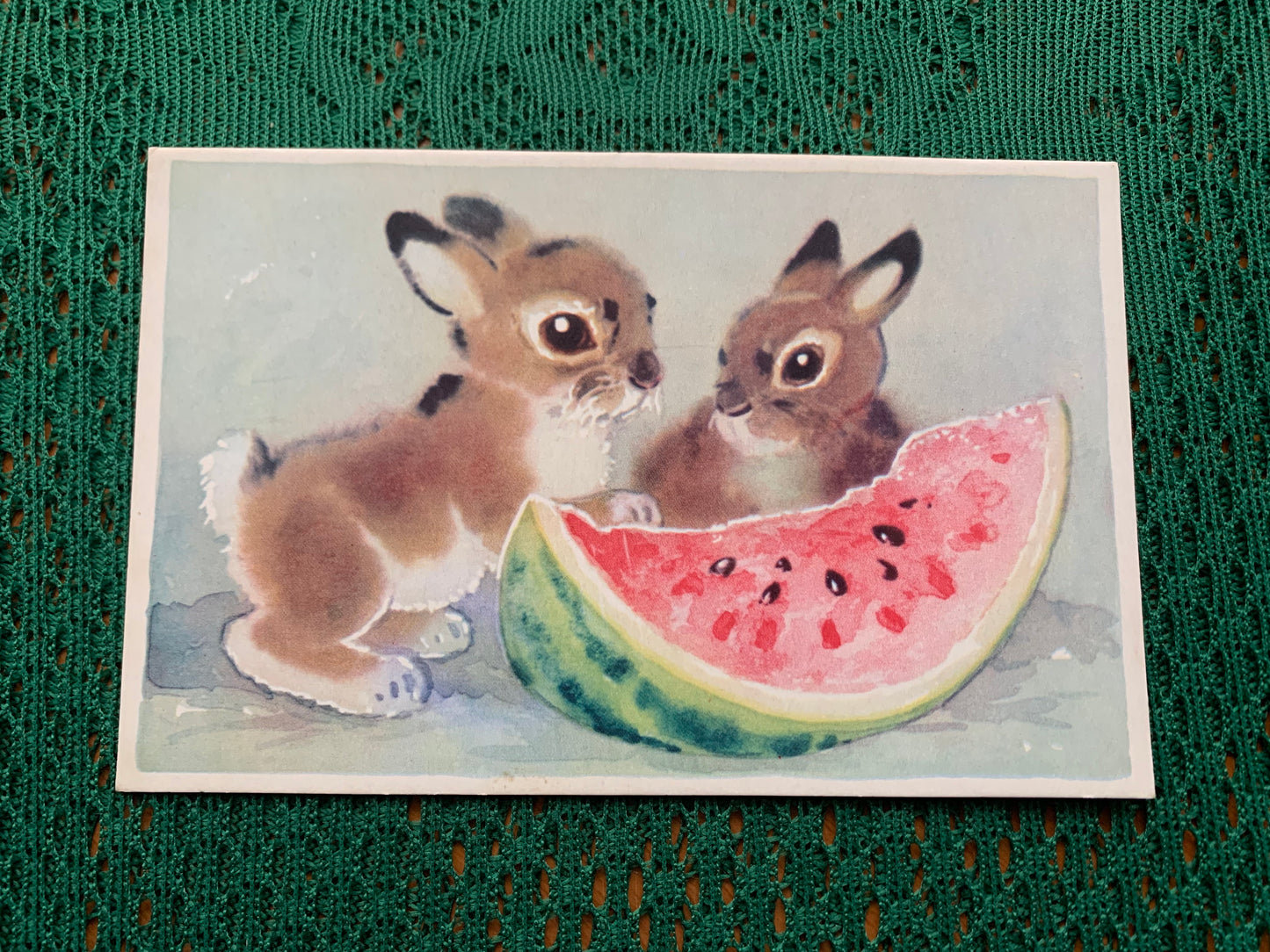 Russian art postcard - Artist L.Gamburger - Bunnies and Watermelon - Animal postcard - Printed in USSR - 1970 - unused