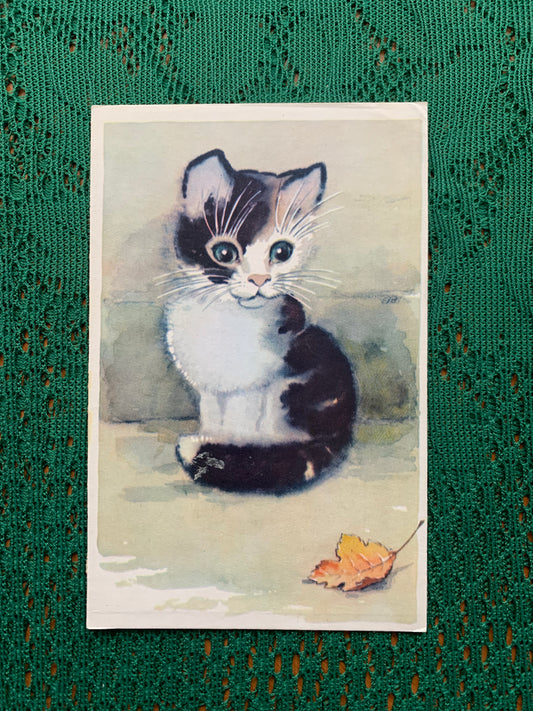 Russian art postcard - Artist L.Gamburger - Cute Kitten and Autumn leave - Animal postcard - Printed in USSR - 1970 - unused