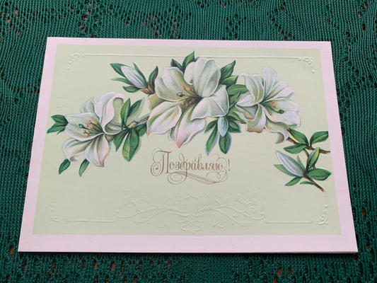 Russian embossed art postcard - Folded greeting card - Artist V.Makarov - Printed in USSR - 1986 - unused