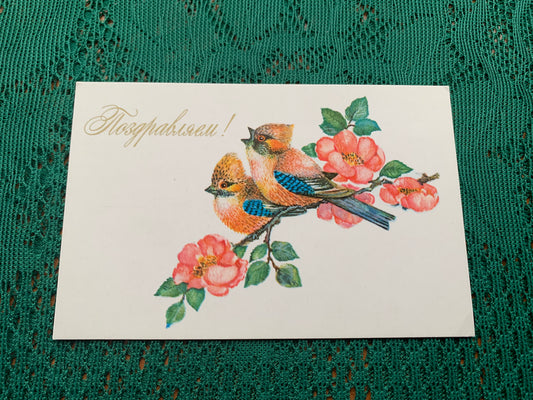 Russian art postcard - Greeting card - Artist L.Manilova - Printed in USSR - 1975 - unused