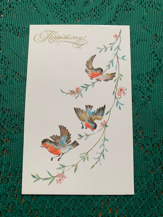 Russian art postcard - Greeting card - Artist unknown - Printed in USSR - 1970s - unused