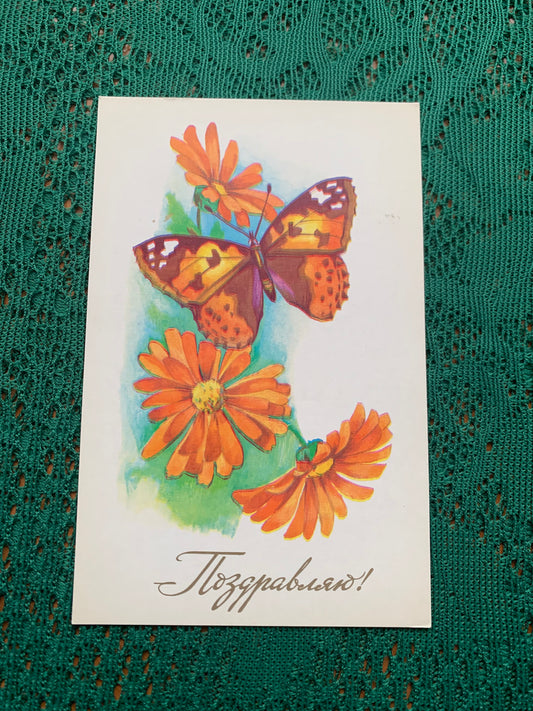 Russian art postcard - Greeting card - Artist G.Shmeleva - Printed in USSR - 1979 - unused