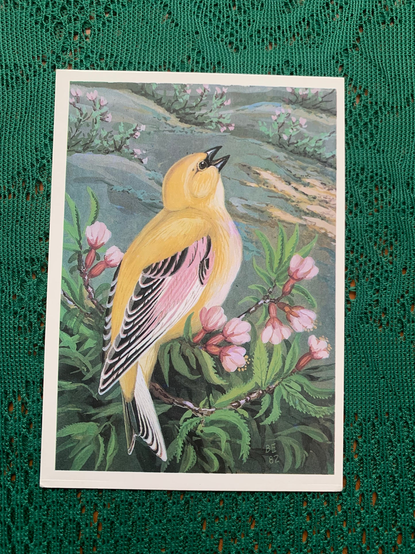 Russian art postcard - Bird postcard - DESERT FINCH - Artist V.Egorov - Printed in USSR - 1984 - unused
