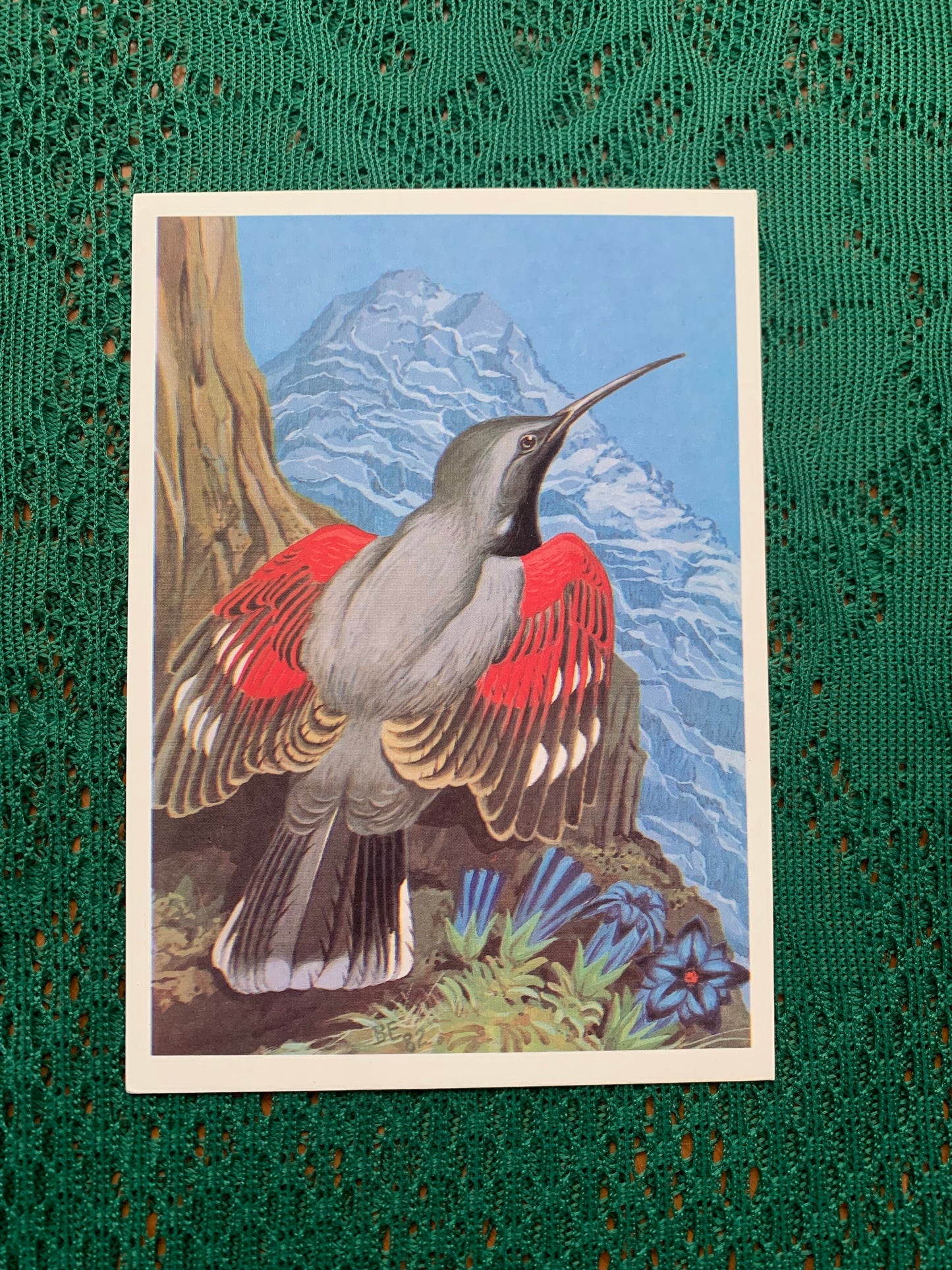 Russian art postcard - Bird postcard - WALLCREEPER - Artist V.Egorov - Printed in USSR - 1984 - unused
