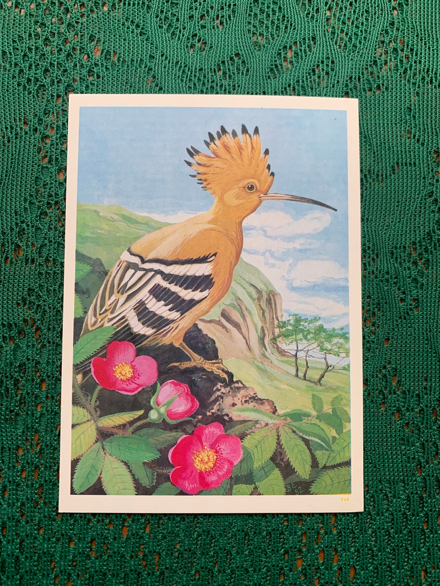 Russian art postcard - Bird postcard - HOOPOE - Artist V.Egorov - Printed in USSR - 1984 - unused
