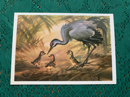 Russian art postcard - Bird postcard - COMMON CRANE - Artist V. Kanevsky - Printed in USSR - 1980 - unused