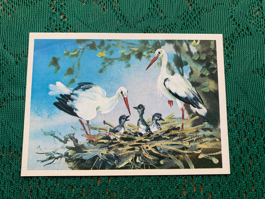Russian art postcard - Bird postcard - WHITE STORKS - Artist V. Kanevsky - Printed in USSR - 1980 - unused
