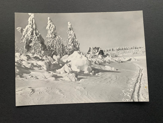 Old Czechoslovakian postcard - CINOVEC - hotel Pomezí in Winter - Black and white Collectible card - 1970s - unused