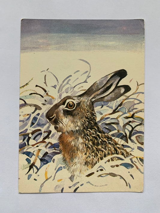 Estonian art postcard - Artist T.Tulev - BUNNY - Hare - Rabbit - Printed in USSR - 1986 - unused