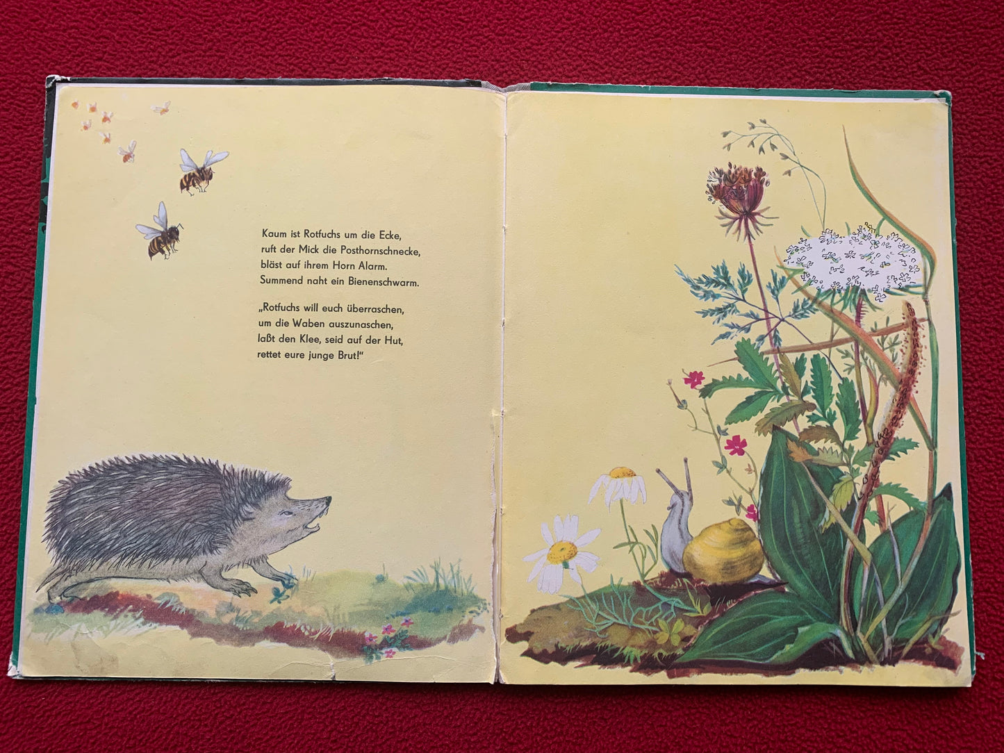 German Children's Book from 1962 - THE DECEIVED FOX - DER BETROGENE FUCHS - Printed in GDR (East Germany)