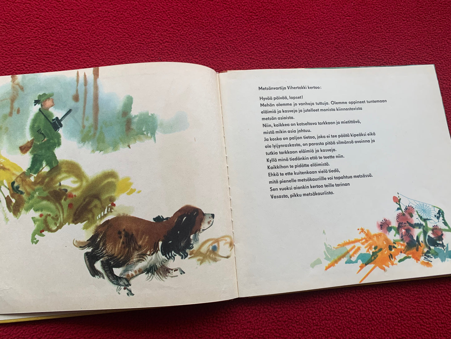 Finnish Children's Book from 1958 - Vasa, a small roe deer - Printed in GDR (East Germany) - Lovely vintage illustrations