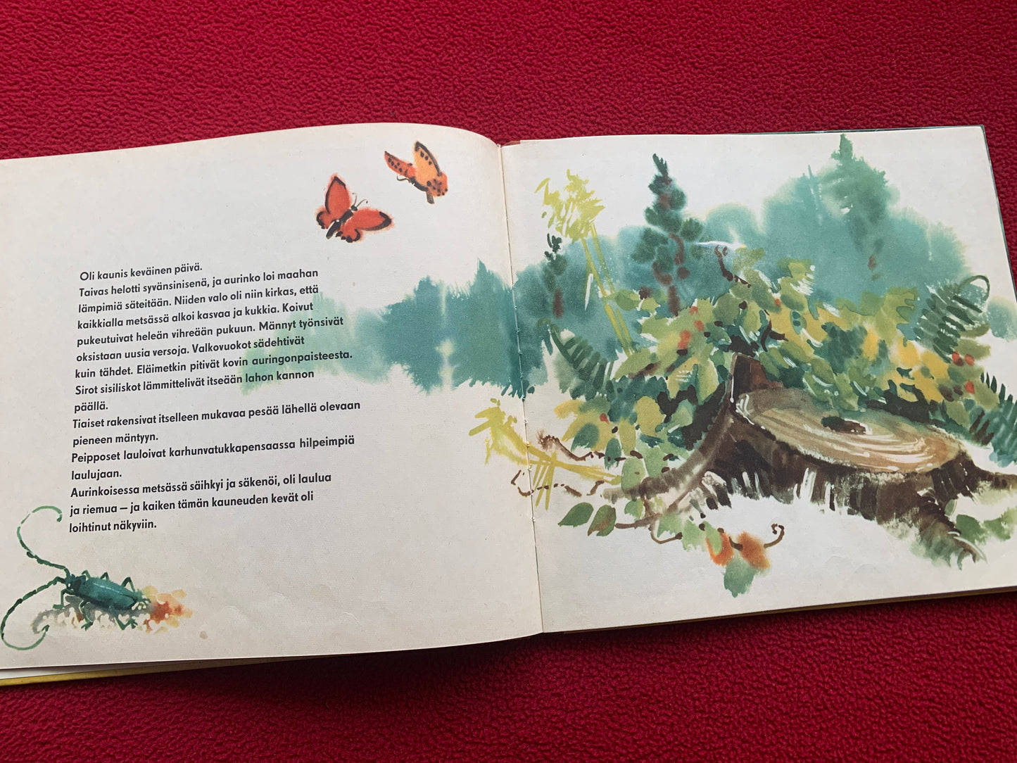 Finnish Children's Book from 1958 - Vasa, a small roe deer - Printed in GDR (East Germany) - Lovely vintage illustrations