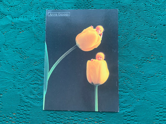 Anne Geddes Art Postcard - Cute Babies inside Tulip - Baby Photography - unused