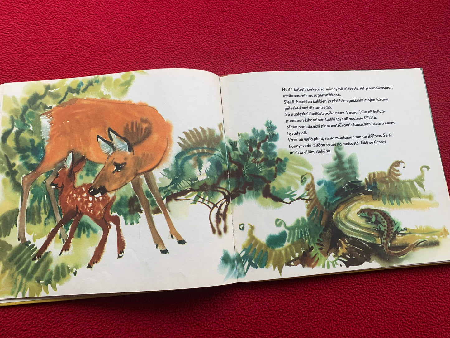Finnish Children's Book from 1958 - Vasa, a small roe deer - Printed in GDR (East Germany) - Lovely vintage illustrations