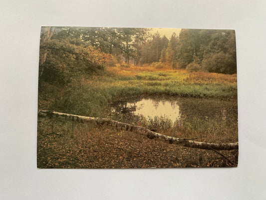 Soviet postcard - Landscape - Pond - Autumn - Nature - Printed in USSR - 1988 - unused