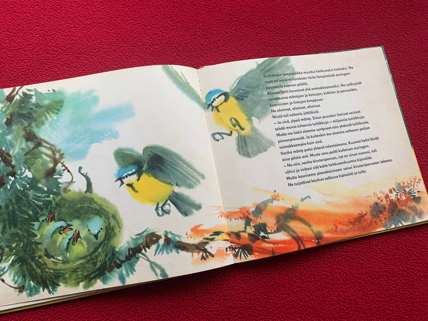 Finnish Children's Book from 1958 - Vasa, a small roe deer - Printed in GDR (East Germany) - Lovely vintage illustrations