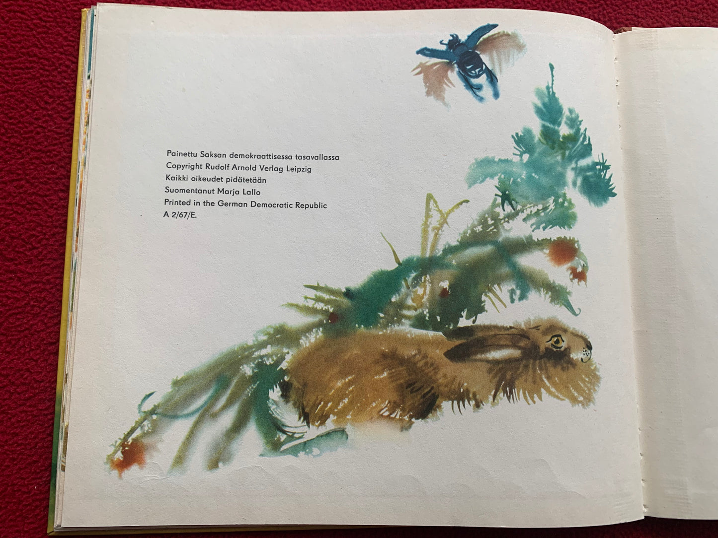 Finnish Children's Book from 1958 - Vasa, a small roe deer - Printed in GDR (East Germany) - Lovely vintage illustrations