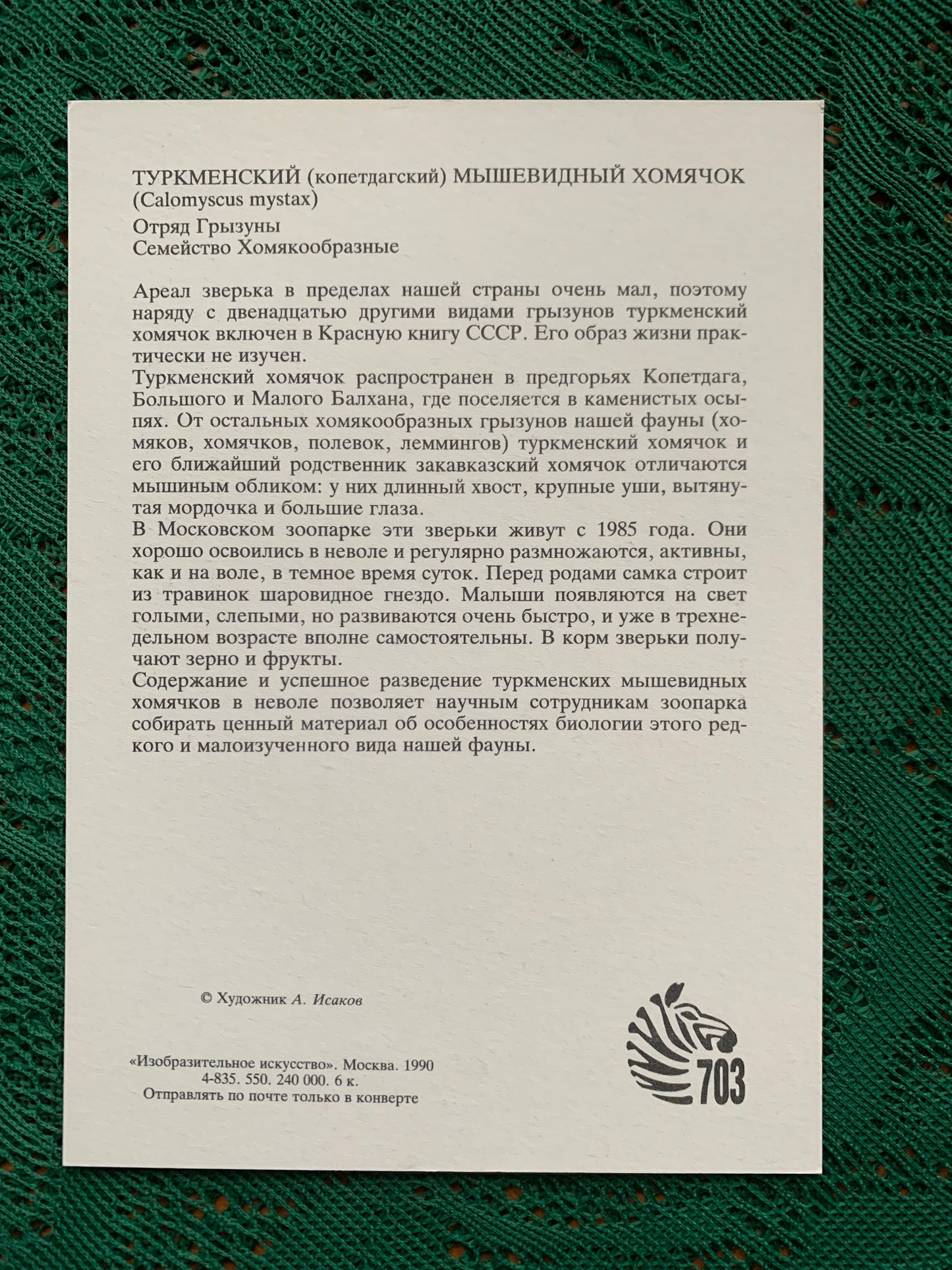 Russian art postcard - Artist A.Isakov - TURKMEN MOUSE HAMSTER - Animal postcard - Printed in USSR - 1989 - unused