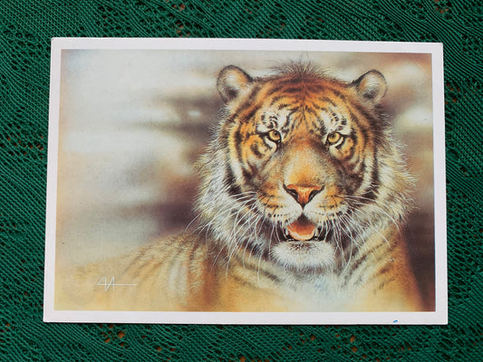Russian art postcard - Artist A.Isakov - AMUR TIGER - Animal postcard - Printed in USSR - 1989 - unused