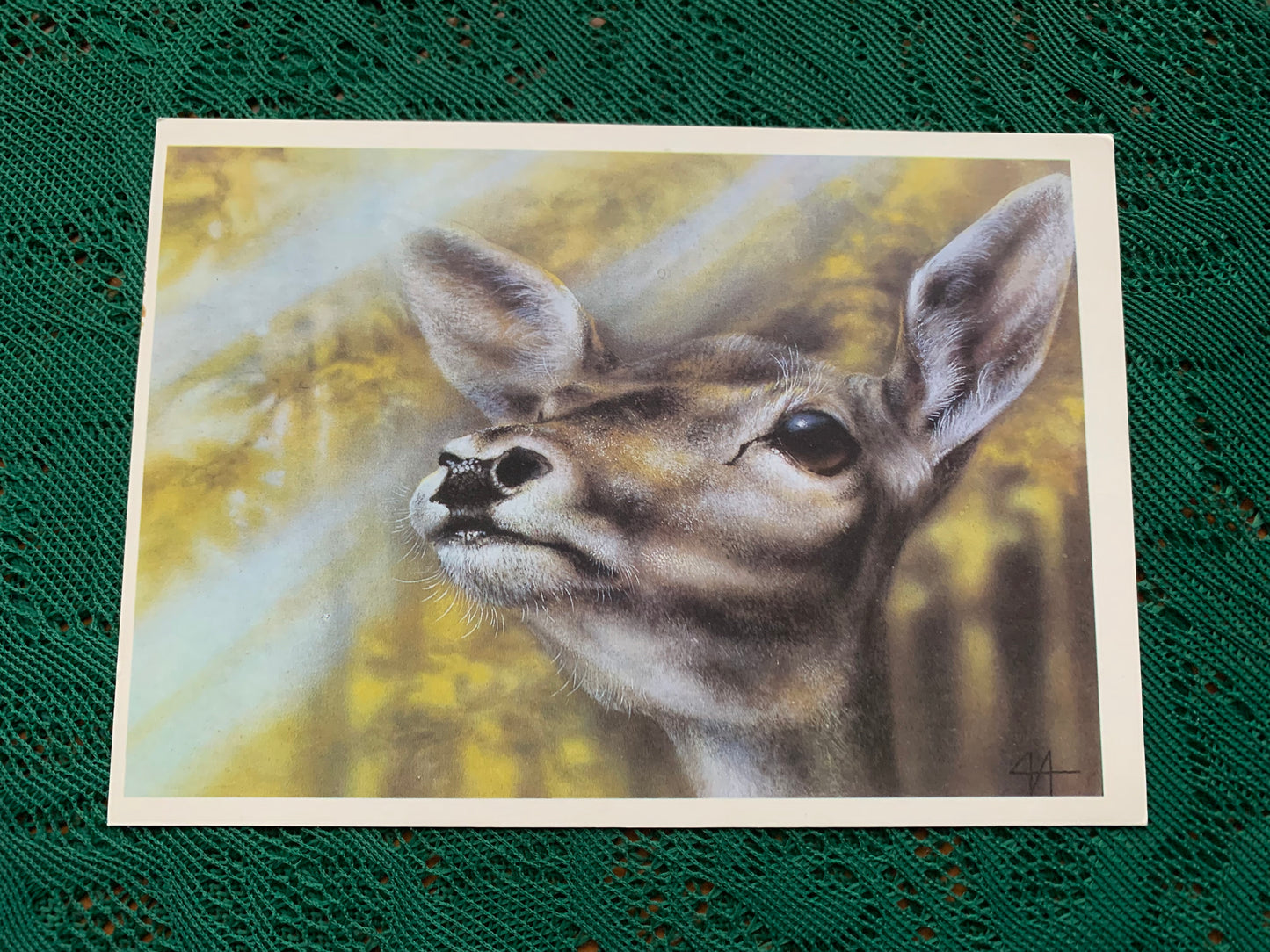 Russian art postcard - Artist A.Isakov - DEER - Animal postcard - Printed in USSR - 1989 - unused