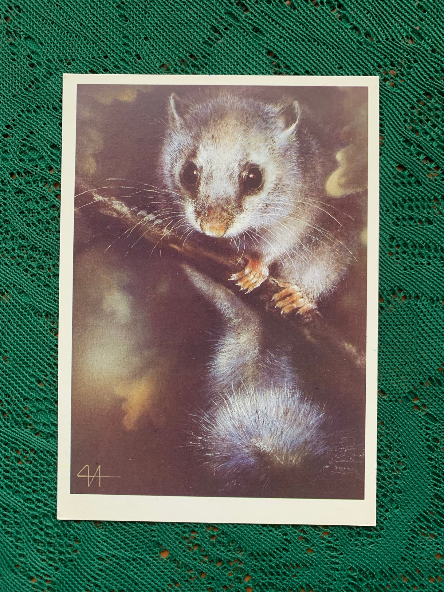 Russian art postcard - Artist A.Isakov - European dormouse - Animal postcard - Printed in USSR - 1989 - unused