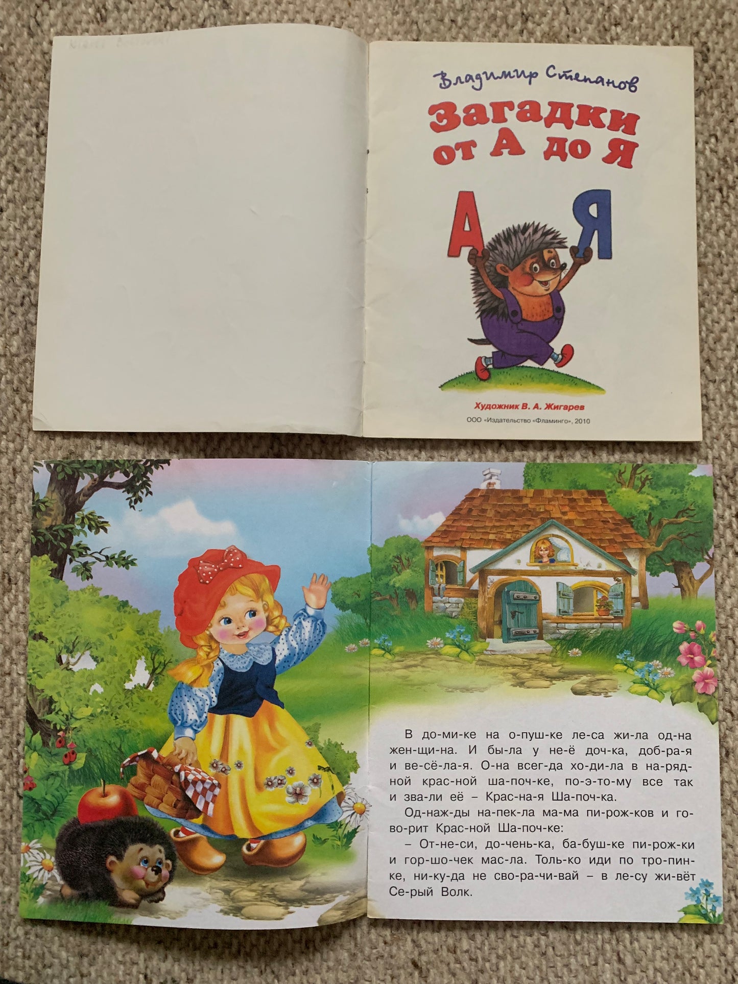 Vintage Children's Books in Russian - Primer books - Learning to read - Printed in Russia - 2010s