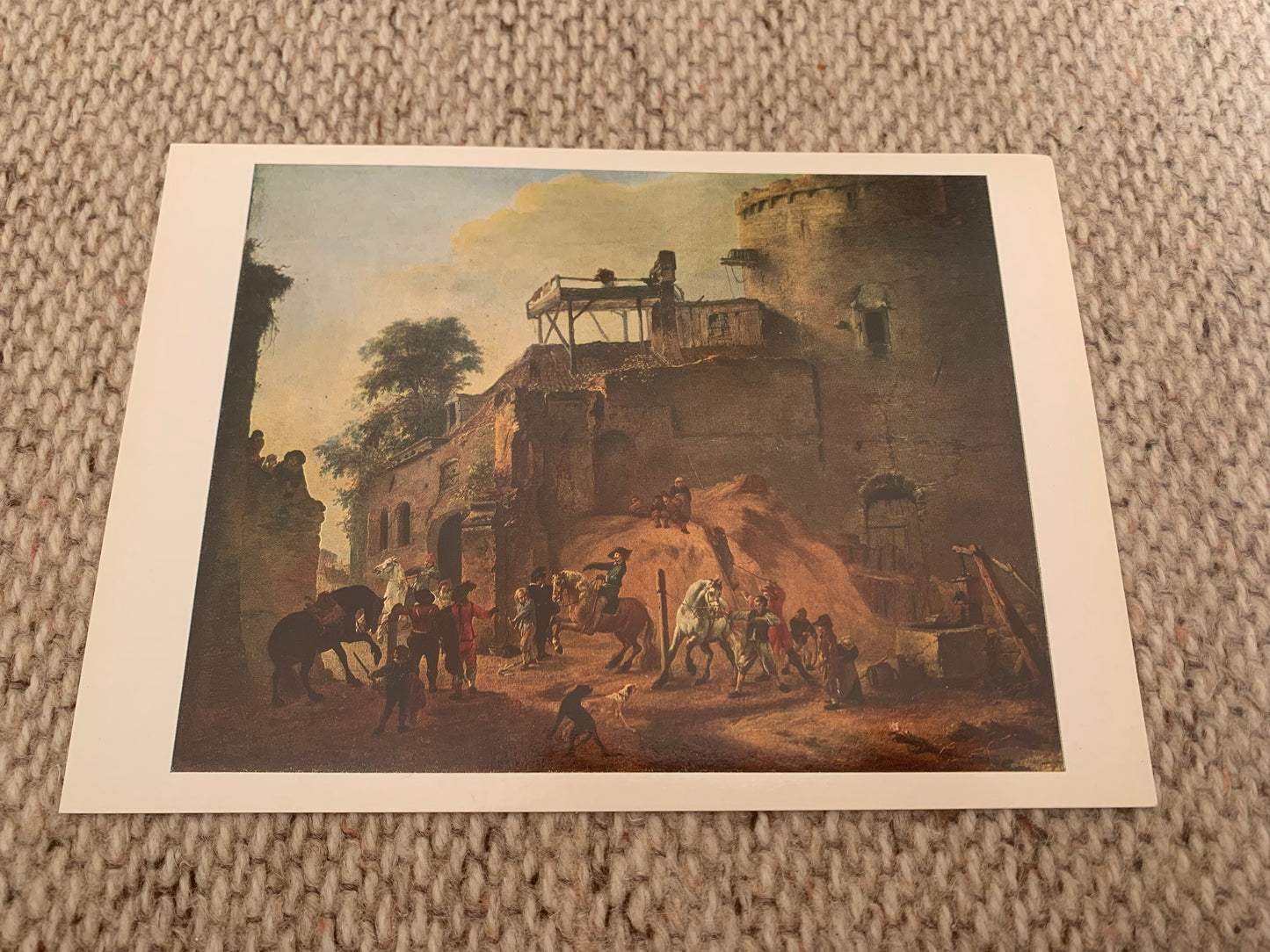 Training Horses in the Open - PHILIPS WOUWERMAN - 1979 - unused