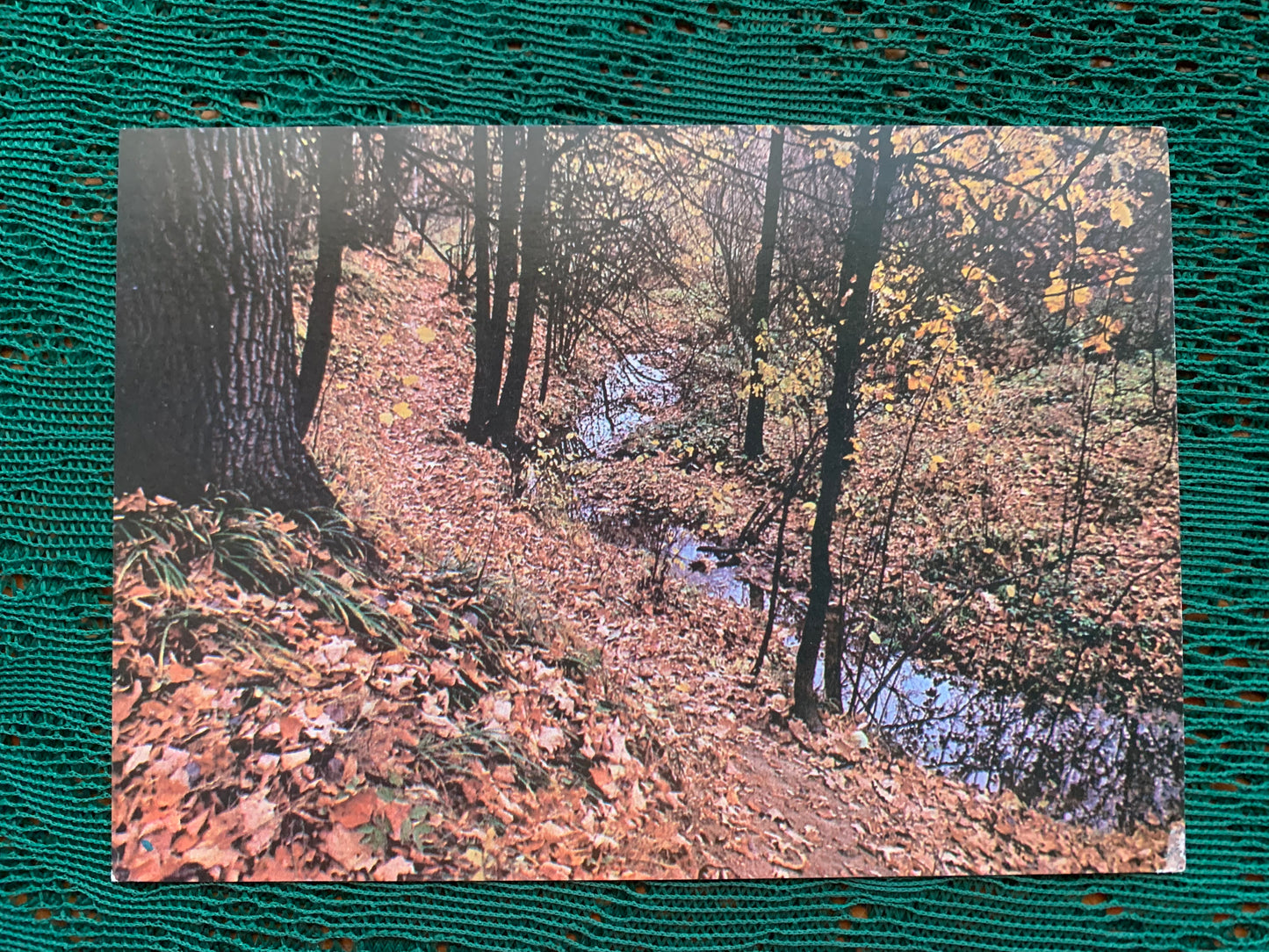 Soviet postcards - Nature view cards - Seasons - 1980s - unused