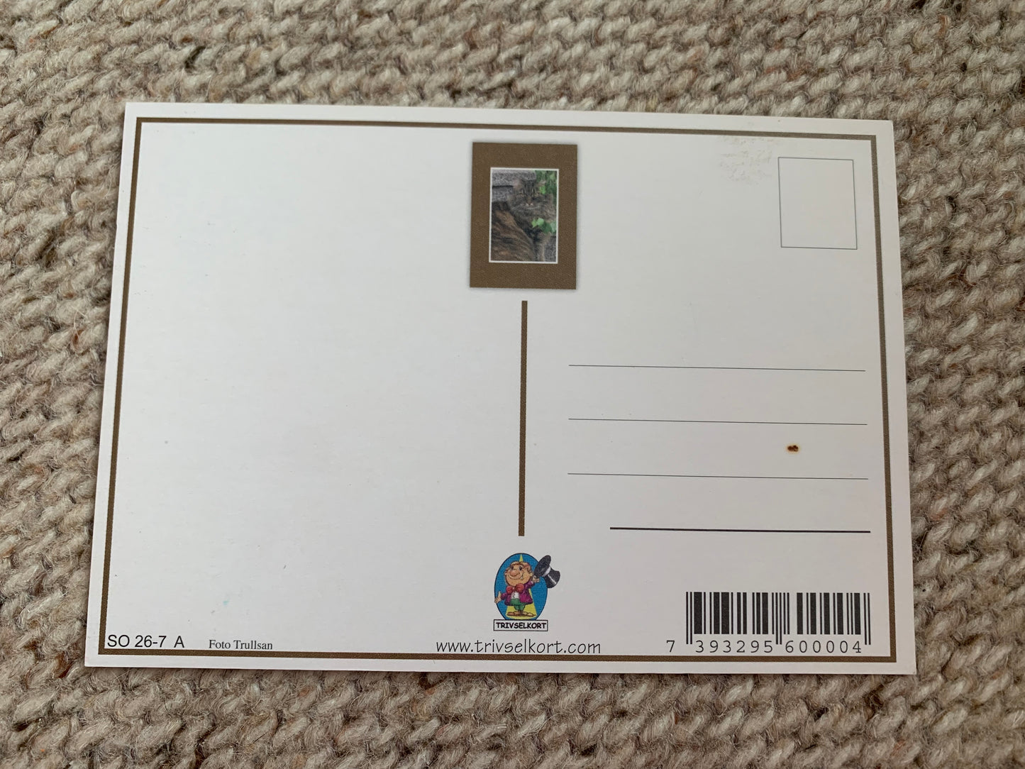 CAT postcard - Collectible card - Printed in Sweden - 2000s - unused