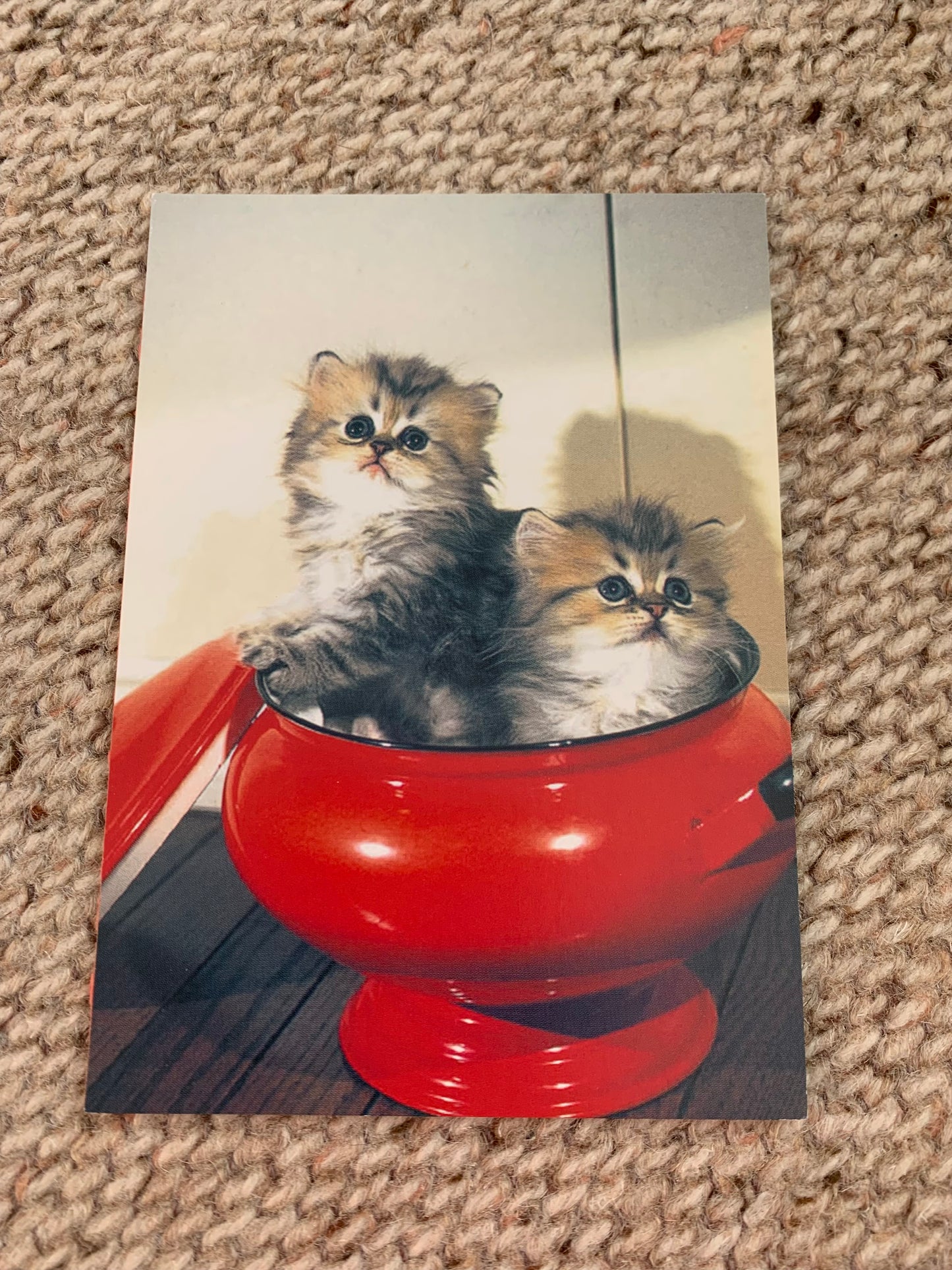 CAT postcard - Collectible card - painted cat - art postcard - Printed in Japan - 2000s - unused