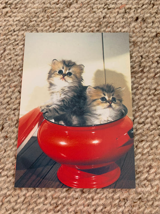 CAT postcard - Collectible card - painted cat - art postcard - Printed in Japan - 2000s - unused